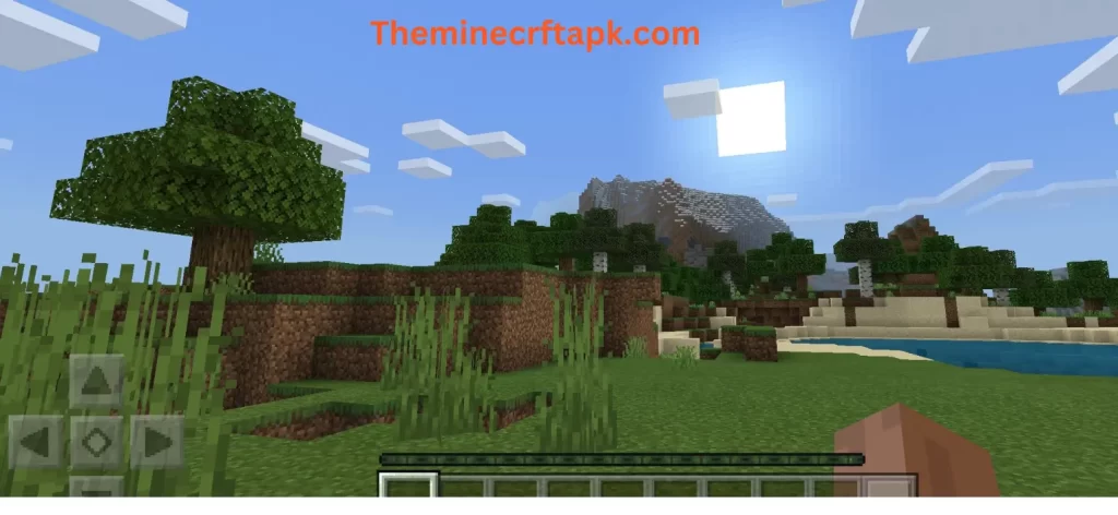 Free To Use, Minecraft Gameplay