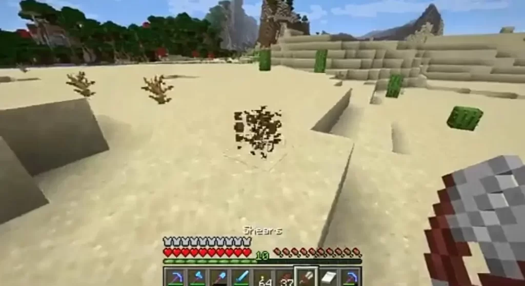 Making dead Bushes in Minecraft