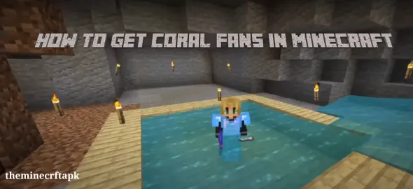 How To Get Coral Fans in Minecraft