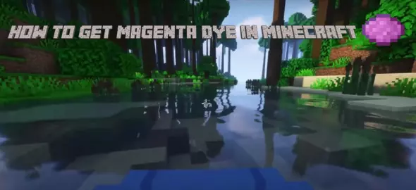 How To Get Magenta Dye in Minecraft