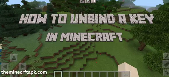 how to unbind a key in Minecraft