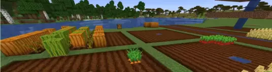 Minecraft Crop Farming Guide