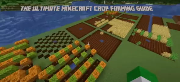 The Ultimate Minecraft Crop Farming Guide