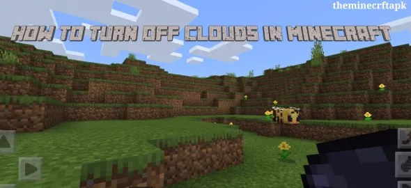 How To Turn Off Clouds in Minecraft