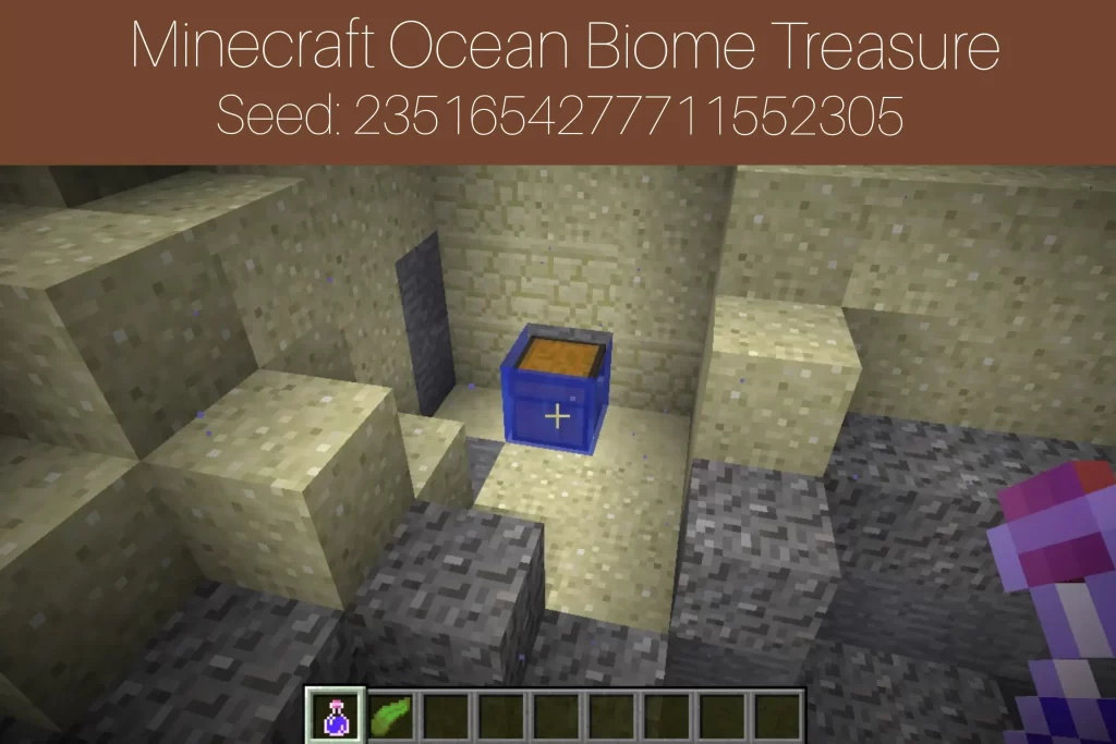 Minecraft Ocean Biome Treasure
Seed: 2351654277711552305