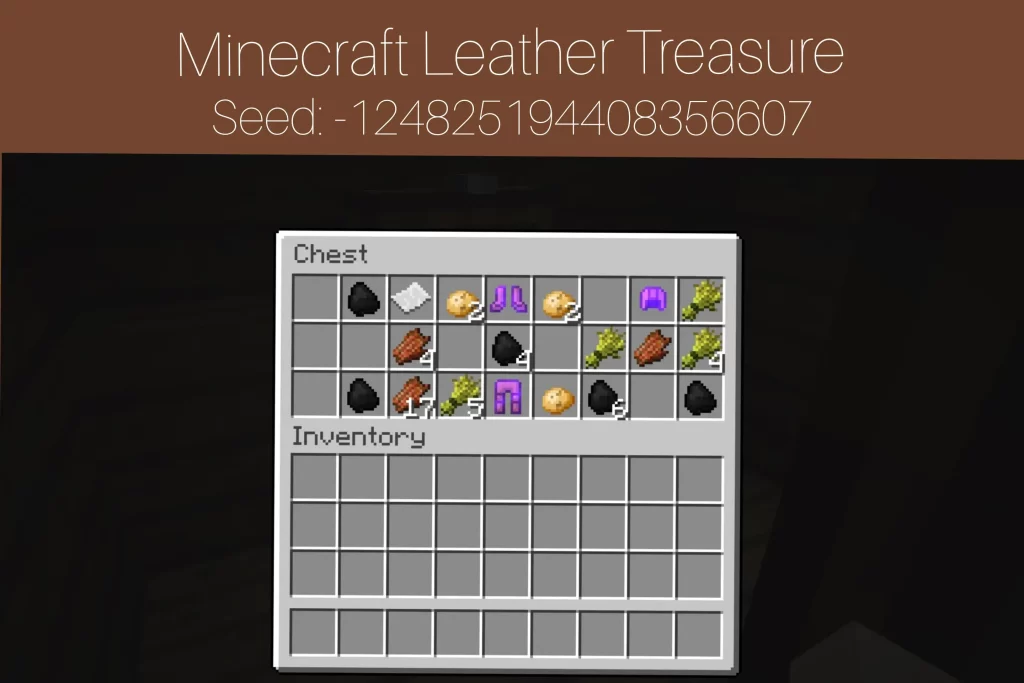 Minecraft Leather Treasure
Seed: -124825194408356607