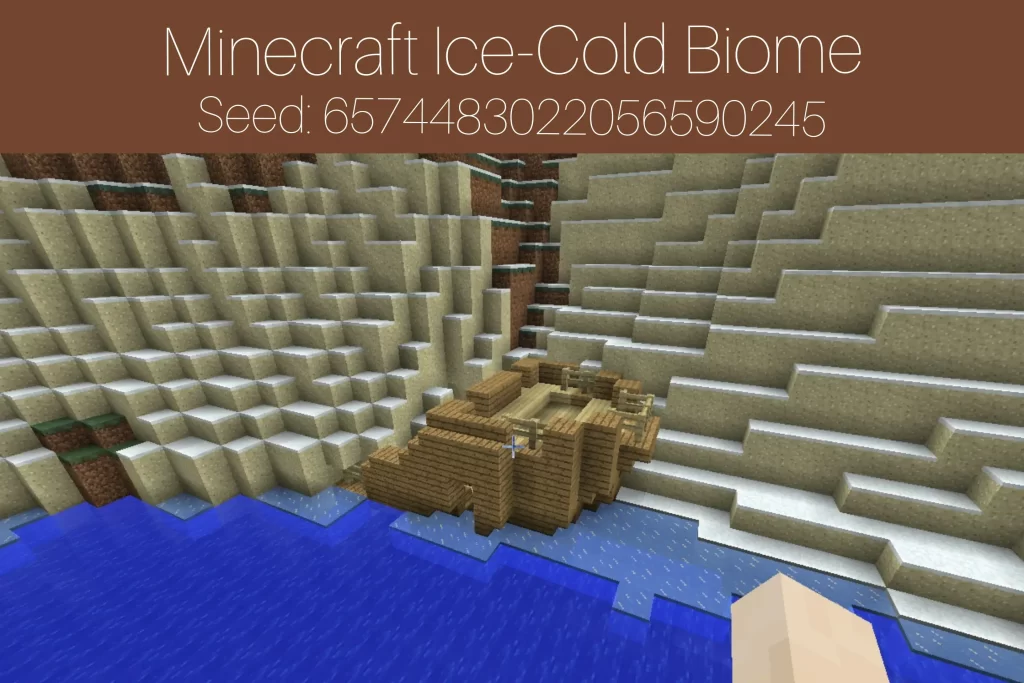 Minecraft ice-cold Biome
Seed: 6574483022056590245