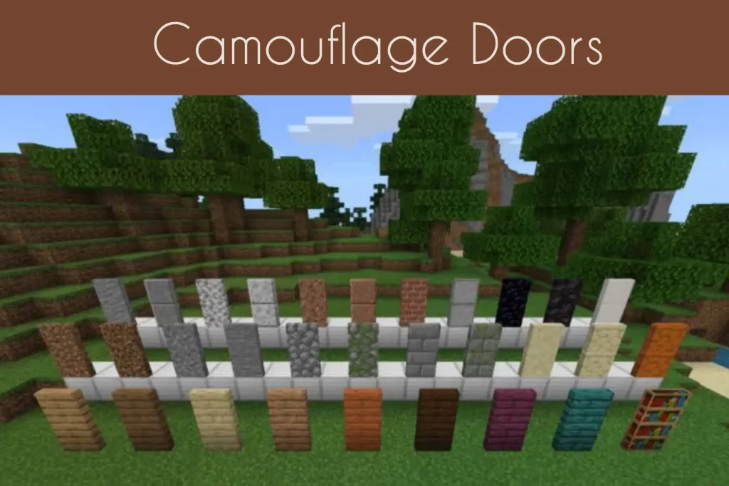 Camouflage Doors