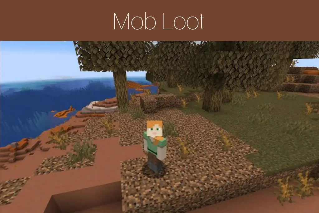 Method 3- Mob Loot