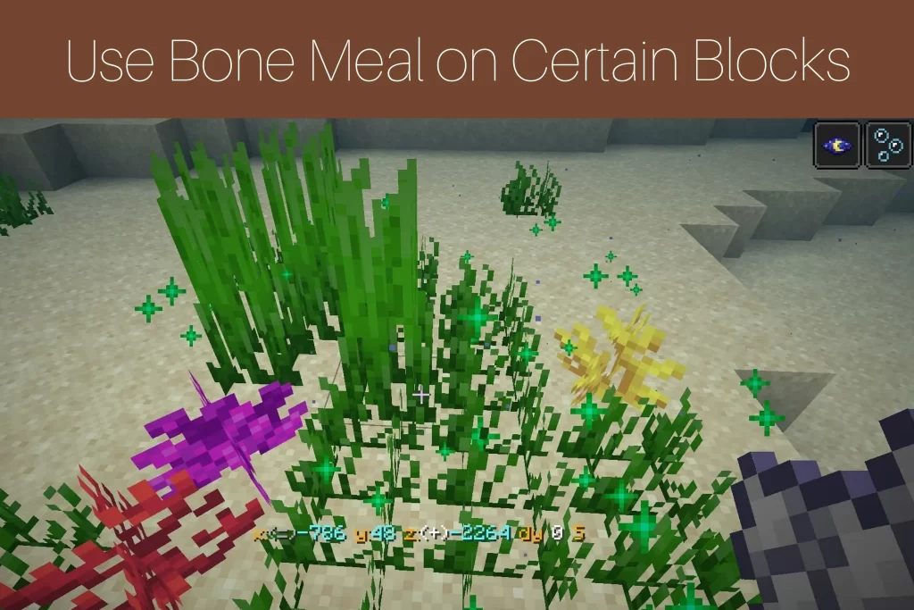 bonemeal