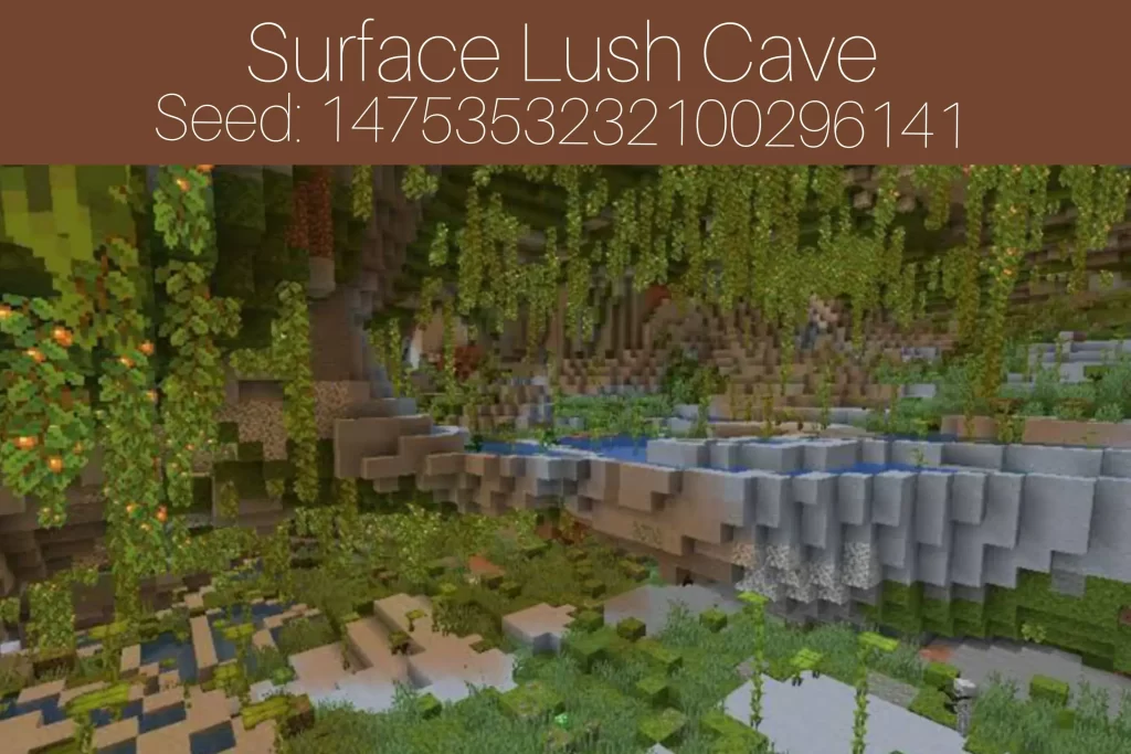 Surface Lush Cave
Seed: 1475353232100296141