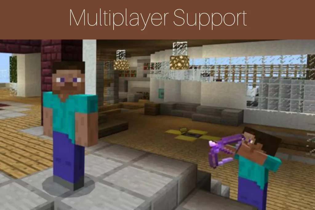 Multiplayer Support