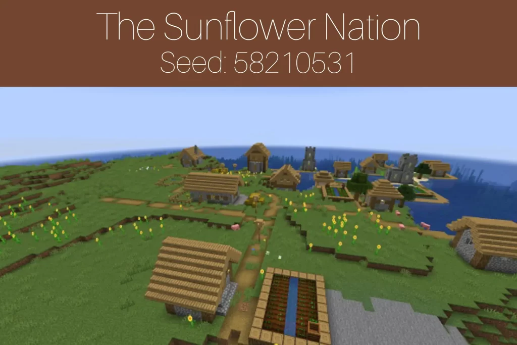 The Sunflower Nation
Seed: 58210531