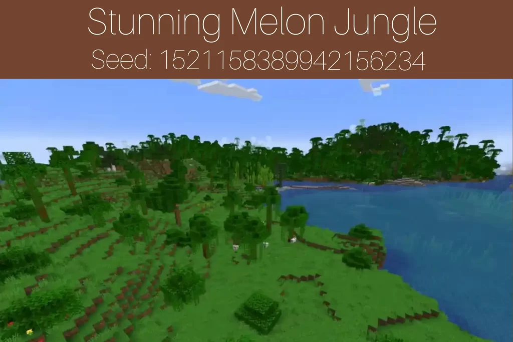 Stunning Melon Jungle
Seed: 1521158389942156234
