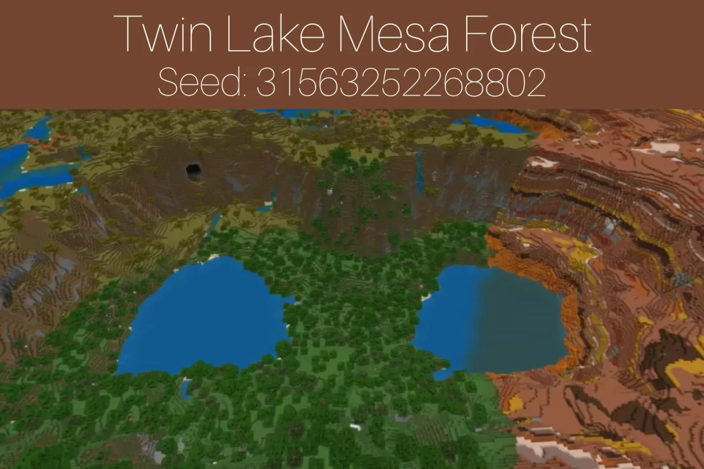 Twin Lake Mesa Forest
Seed: 31563252268802