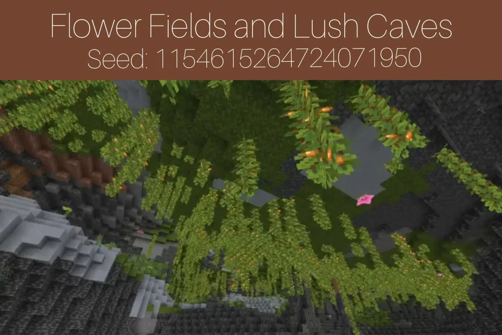 Flower Fields Lush Caves
Seed: 1154615264724071950