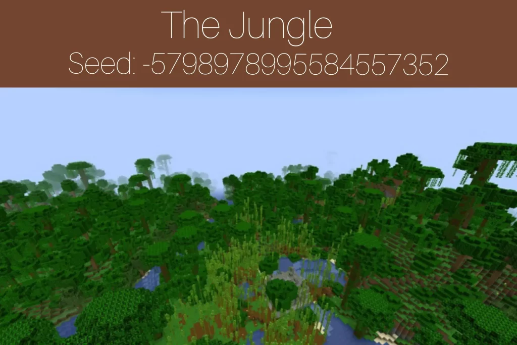 The Jungle
Seed: -5798978995584557352