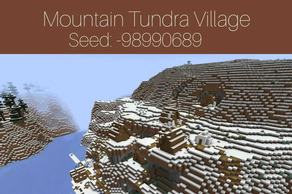 Mountain Tundra Village
Seed: -98990689