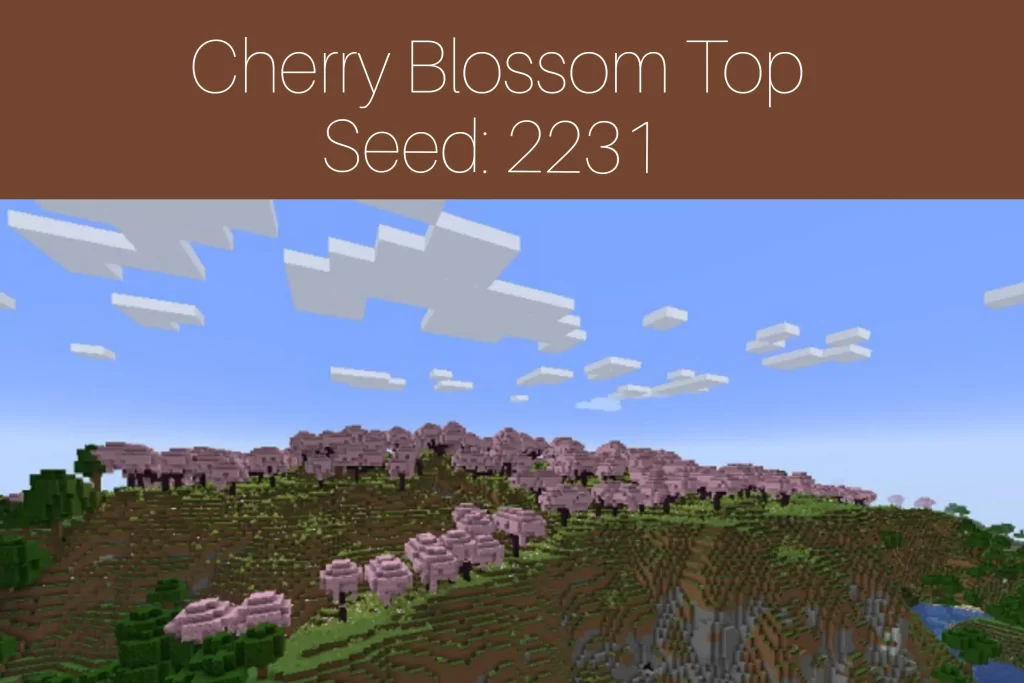Cherry Blossom Top
Seed: 2231