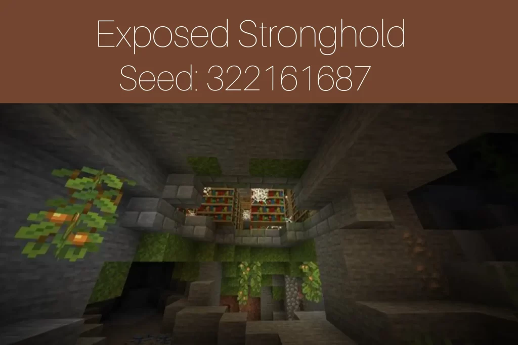 Exposed Stronghold
Seed: 322161687