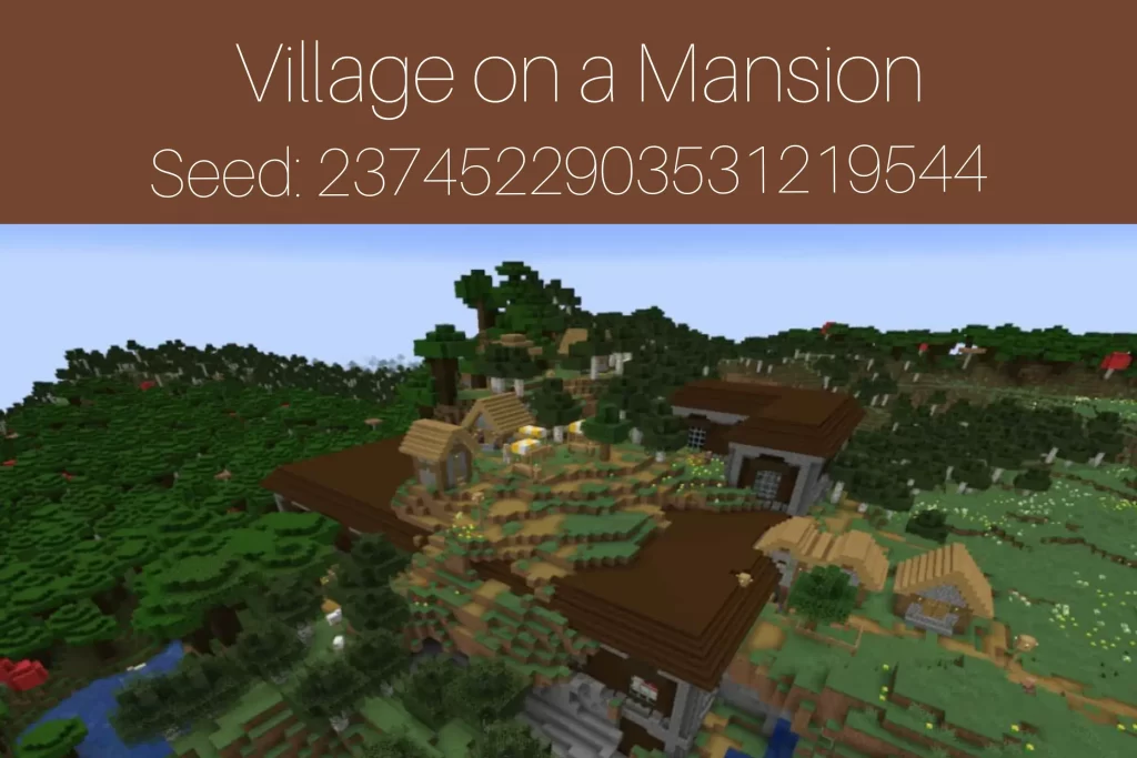 Village on a Mansion