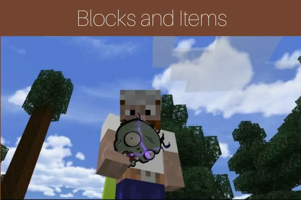 Blocks and Items