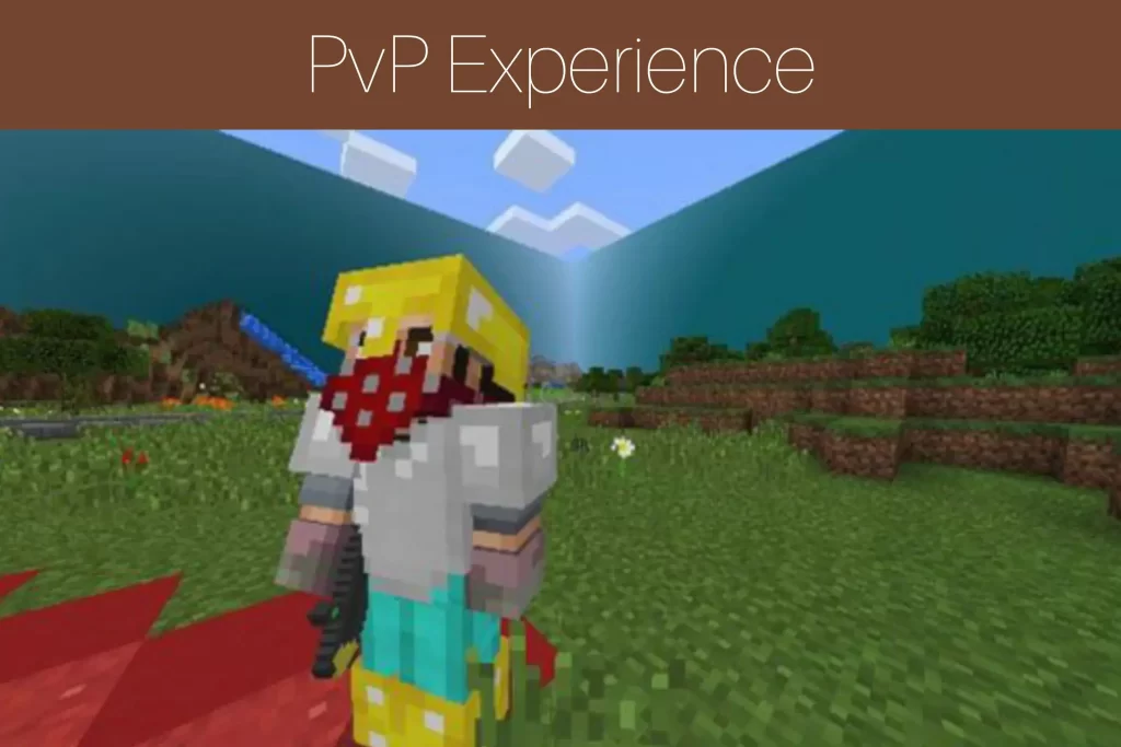 PvP Experience