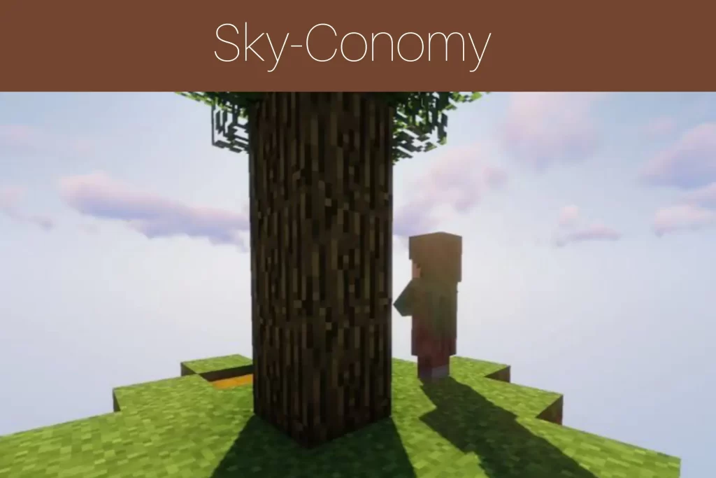 Sky-Conomy