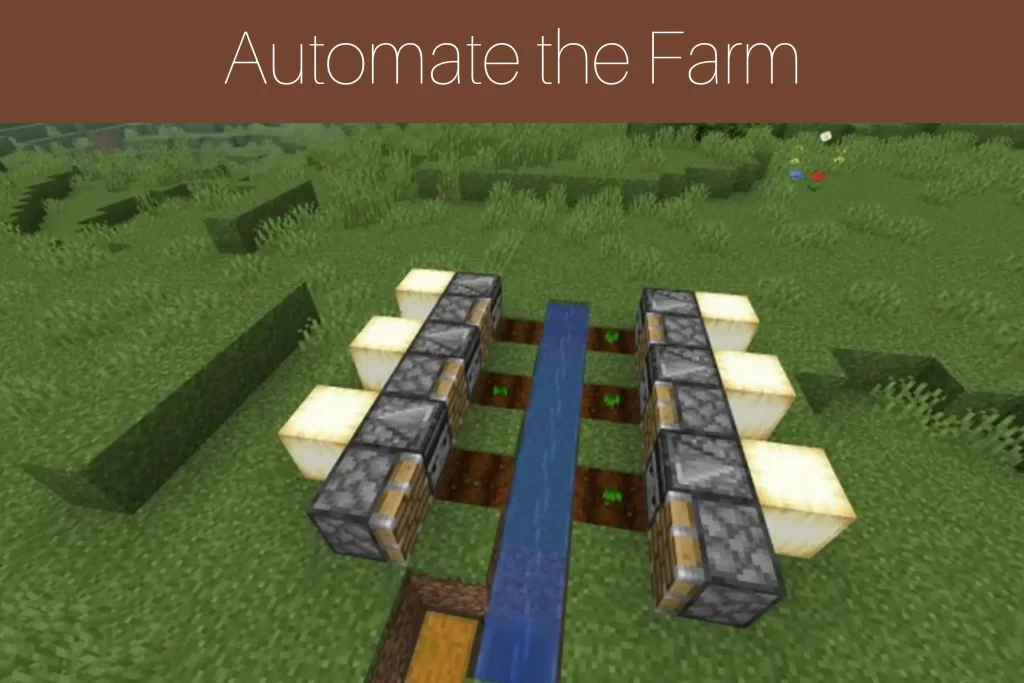 Step 7: Automate the Farm