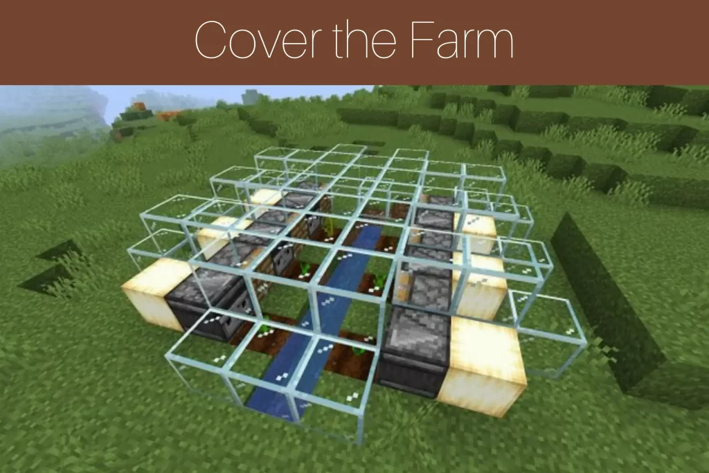 Step 9: Cover the Farm