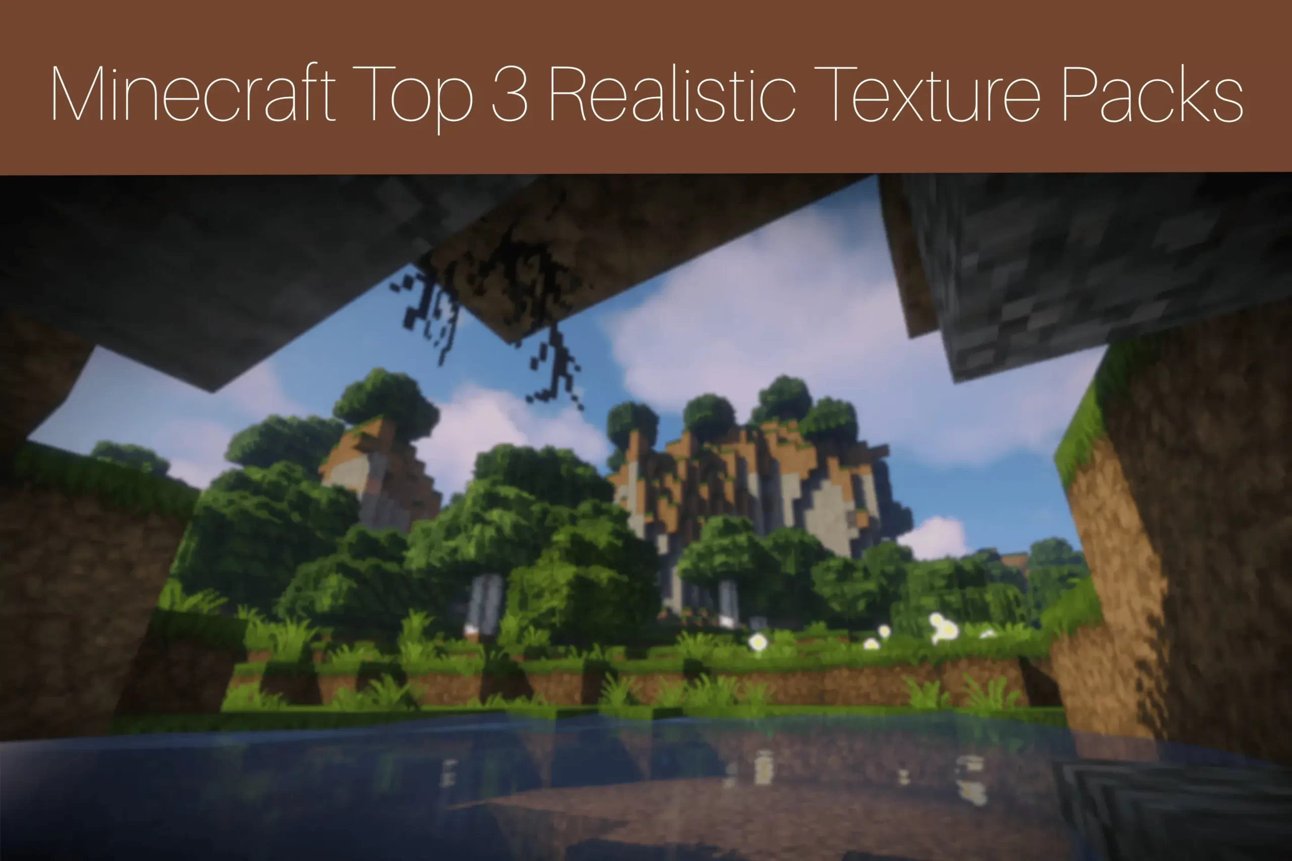 Minecraft Top 3 Realistic Texture Packs 