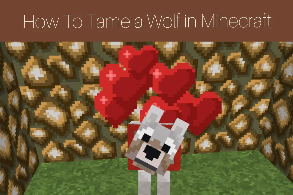 How To Tame a Wolf in Minecraft