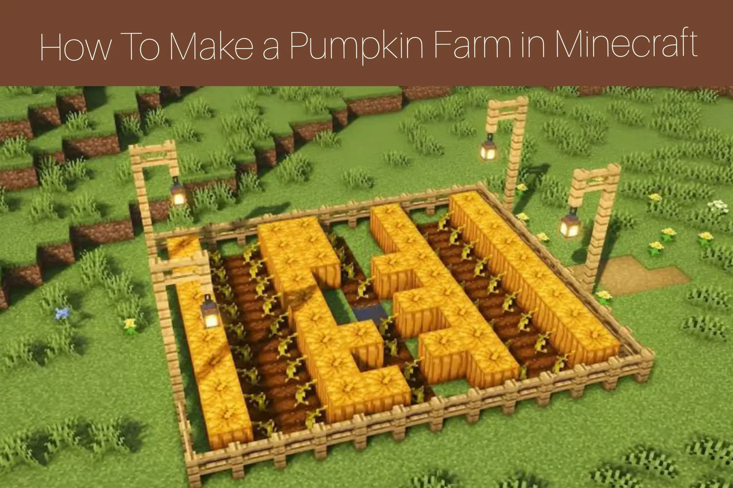 How To Make a Pumpkin Farm in Minecraft