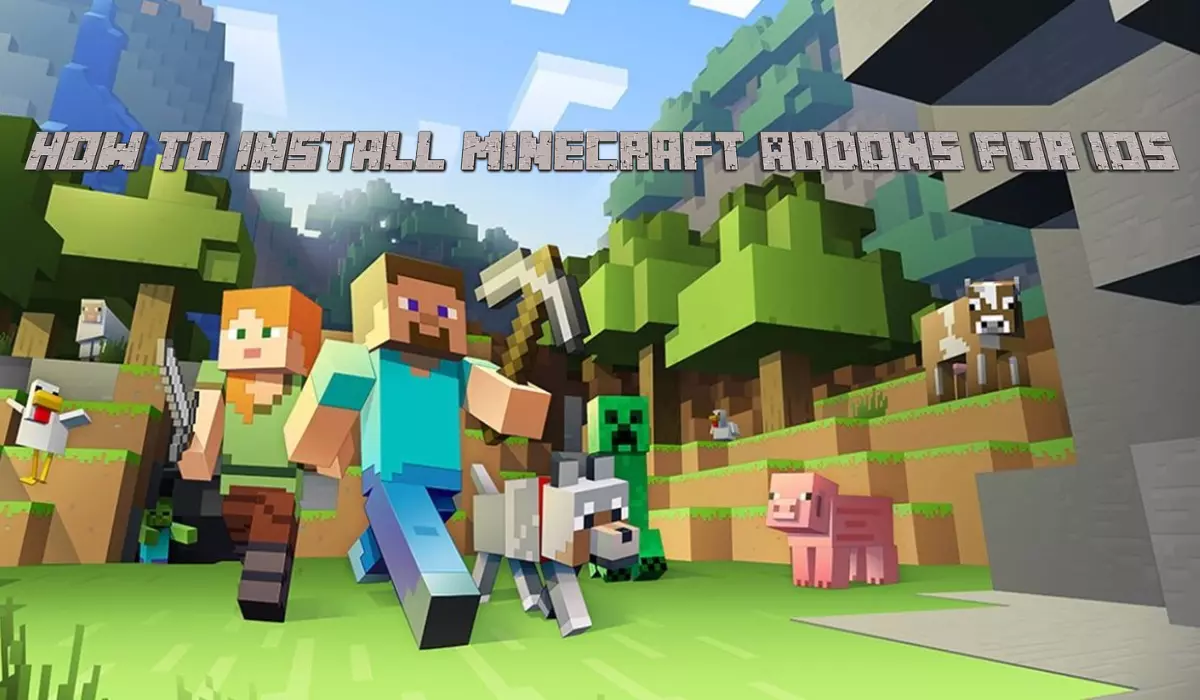 How To Install Minecraft Addons For iOS