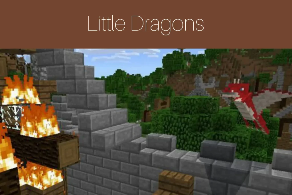 Little Dragons