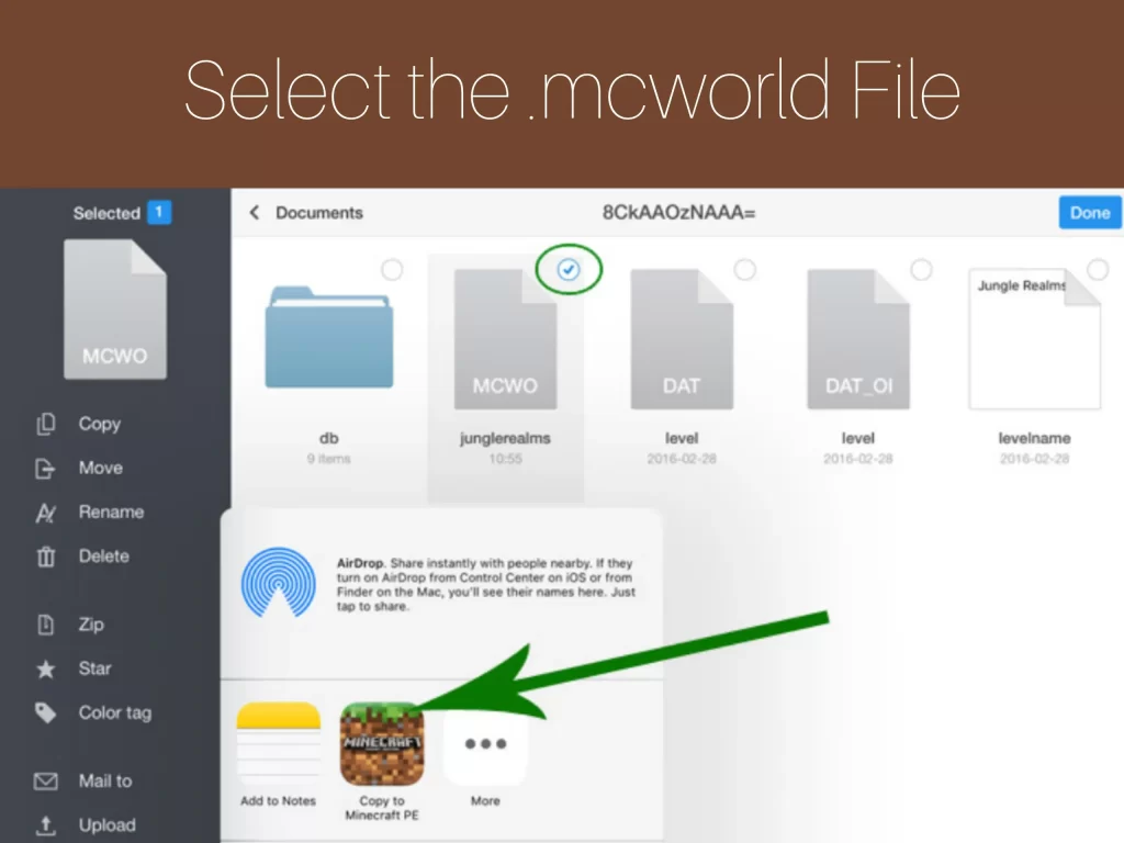 Step 10: Select the .mcworld File