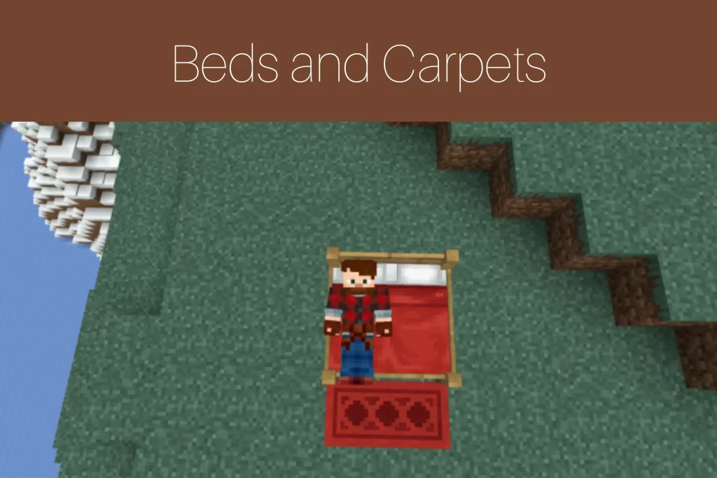 Beds and Carpets