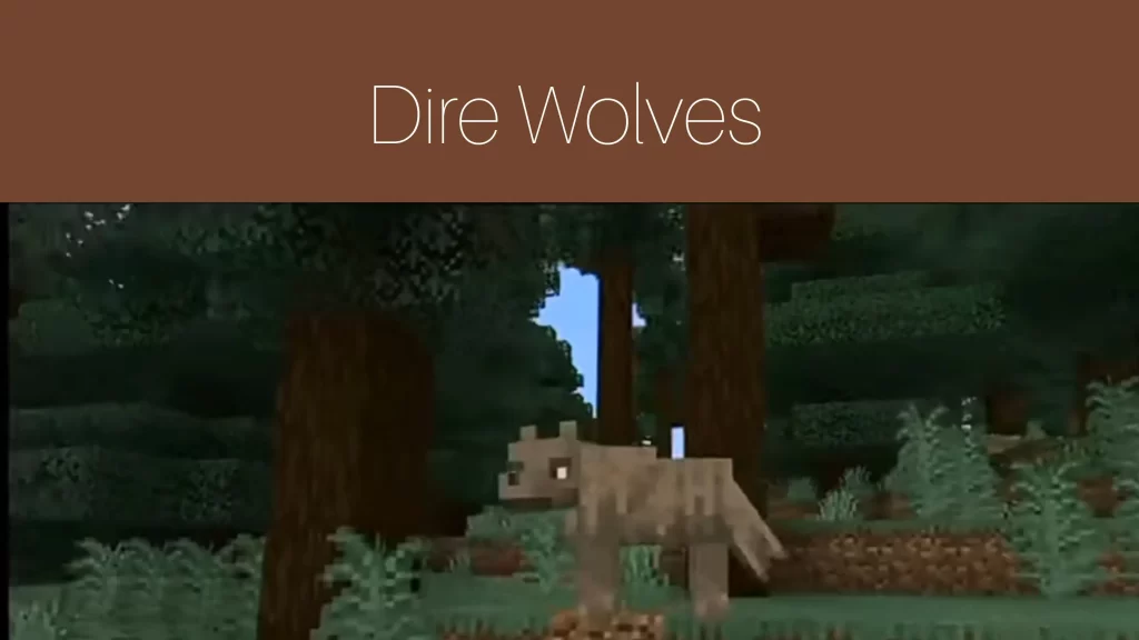 Dire Wolves