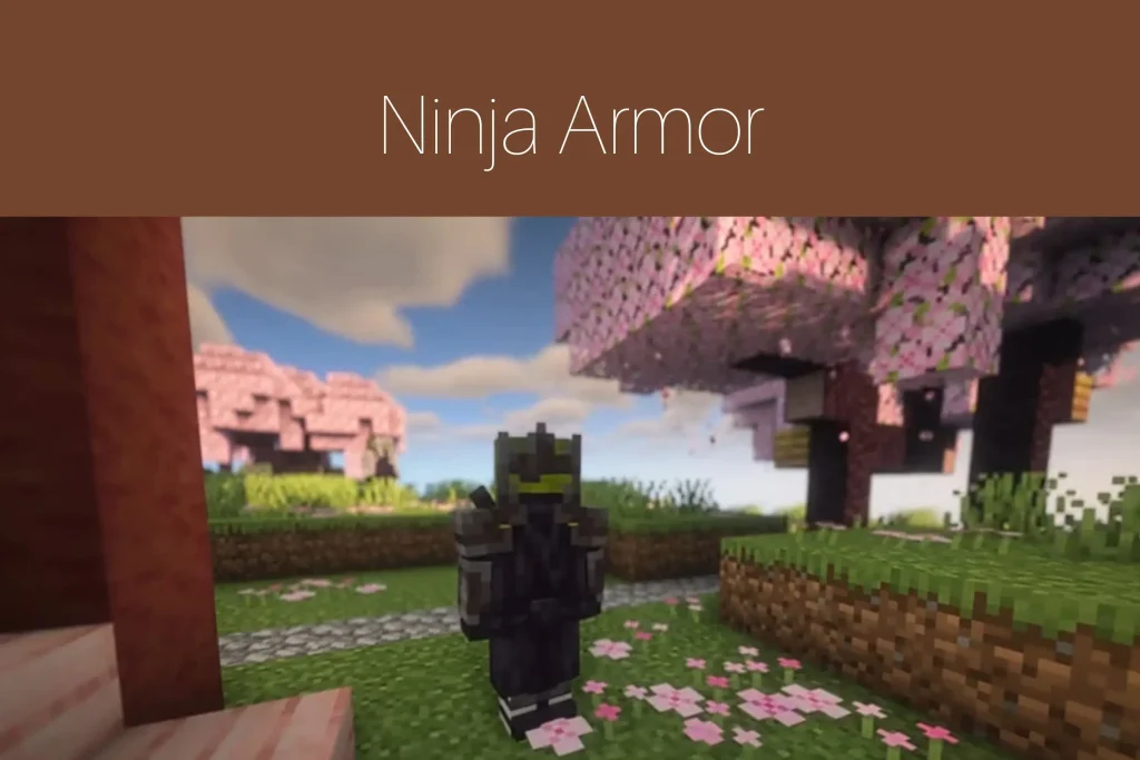 Ninja Armor