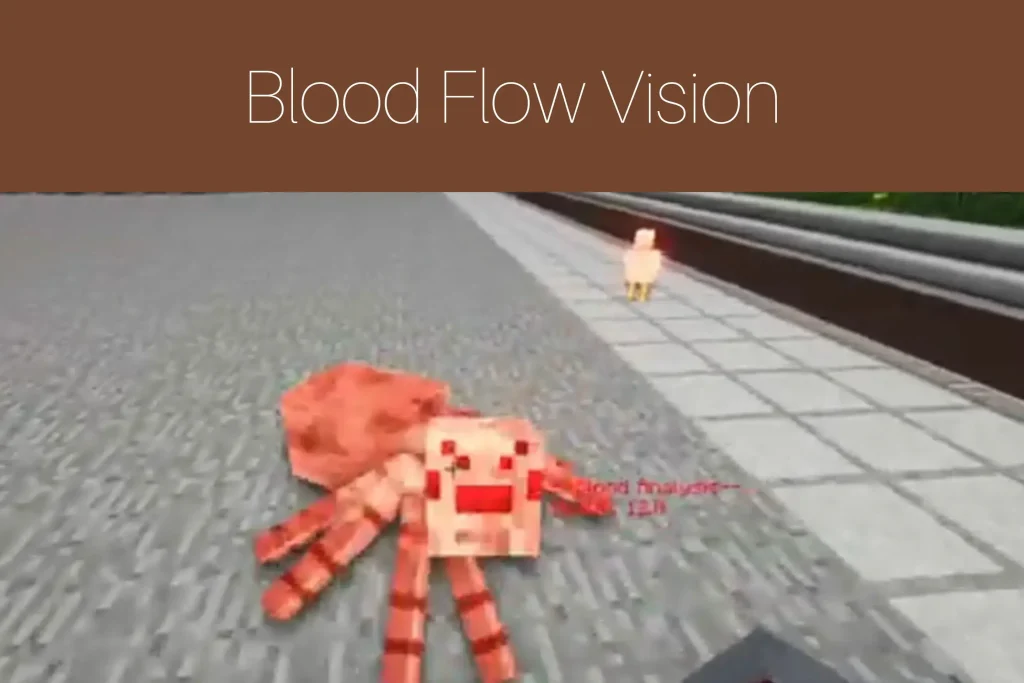 Blood Flow Vision