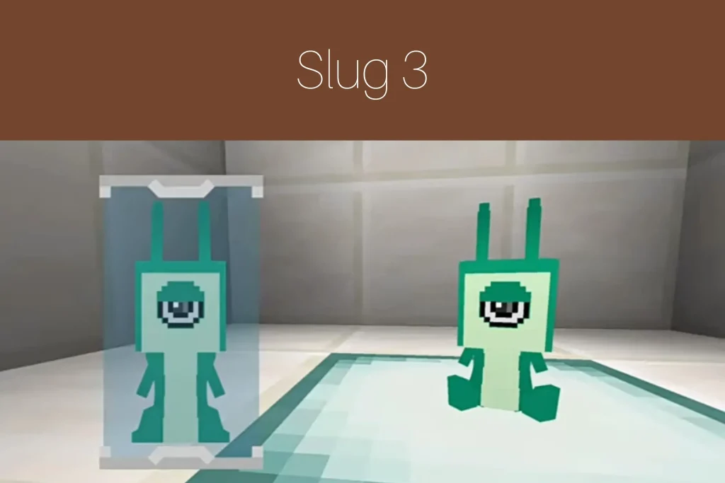 slug 3
