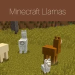 Minecraft Llamas 