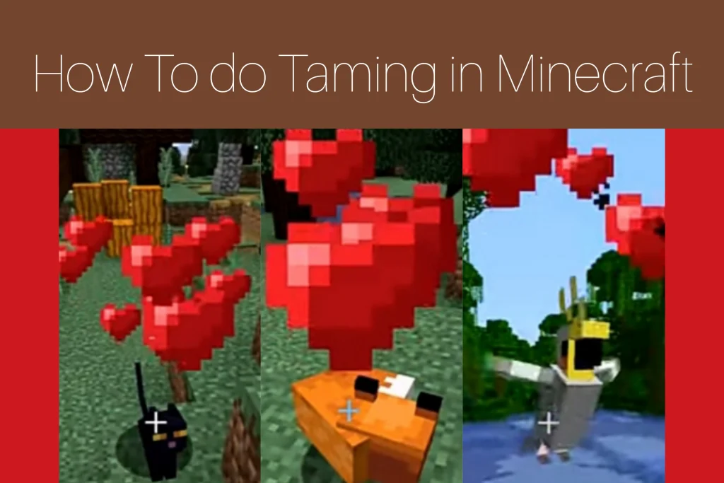 How to do Taming in Minecraft