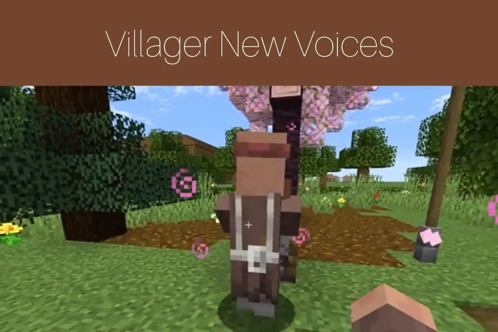 Villager New Voices