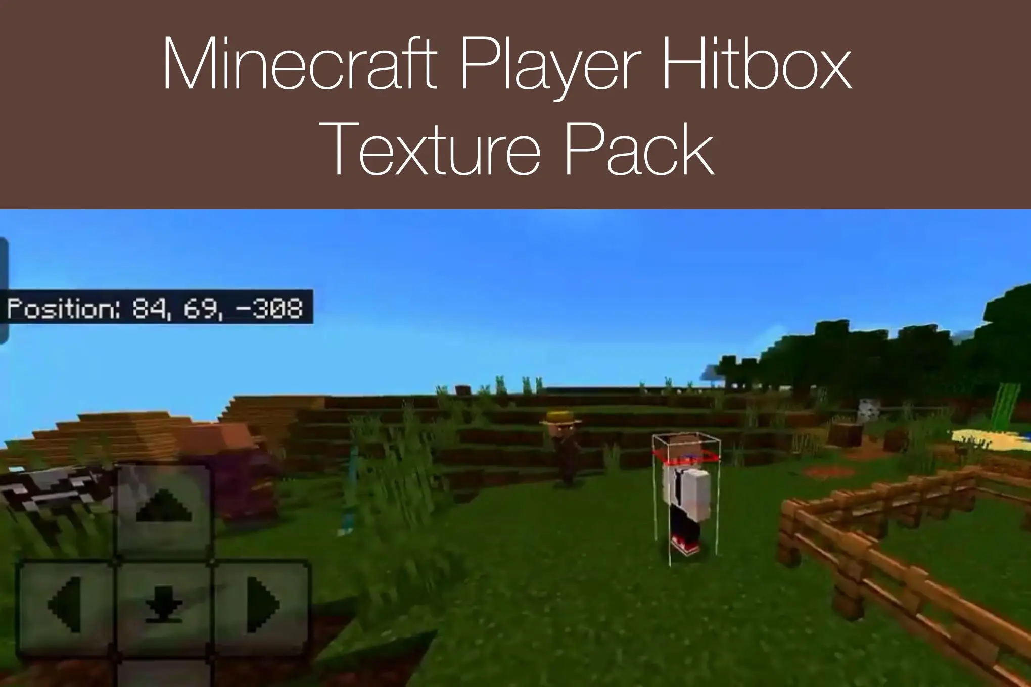 Minecraft Player Hitbox Texture Pack