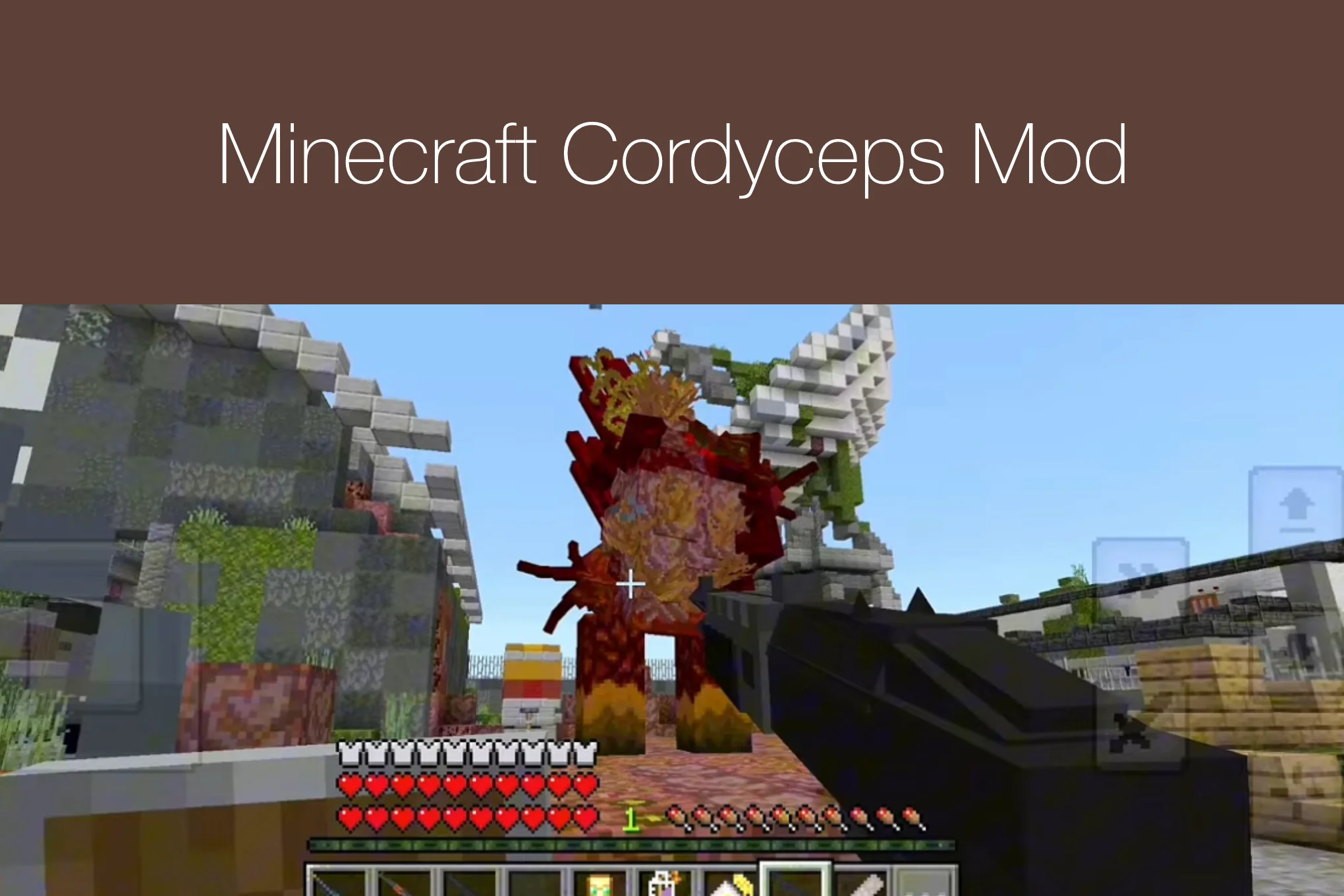 Minecraft Cordyceps Mod