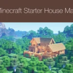 Minecraft Starter House Map