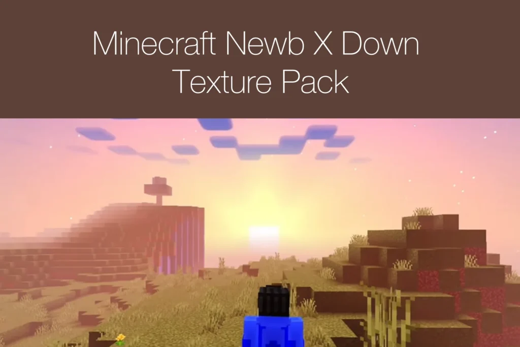 Minecraft Newb X Down Texture Pack