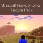 Minecraft Newb X Down Texture Pack