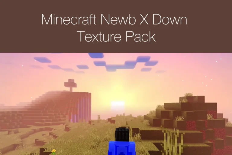 Minecraft Newb X Down Texture Pack